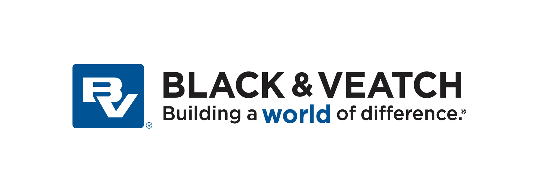BV Logo Horizontal RGB